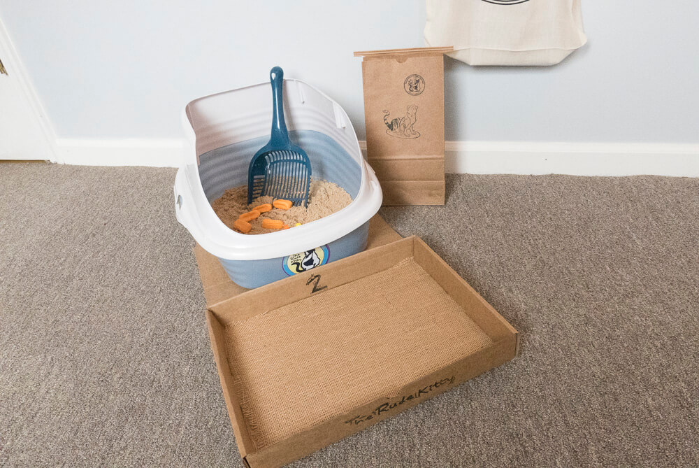 the rude kitty litter system