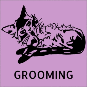 groomingicon